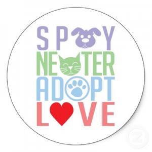 
							Spay and Neuter							
