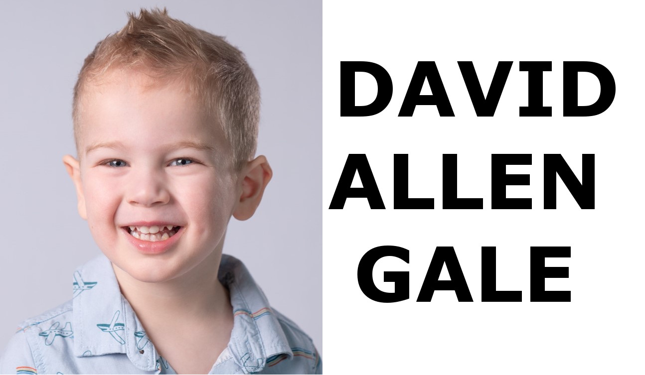 
											David Allen Gale											