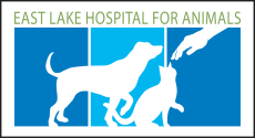 
											East Lake Animal Hospital											